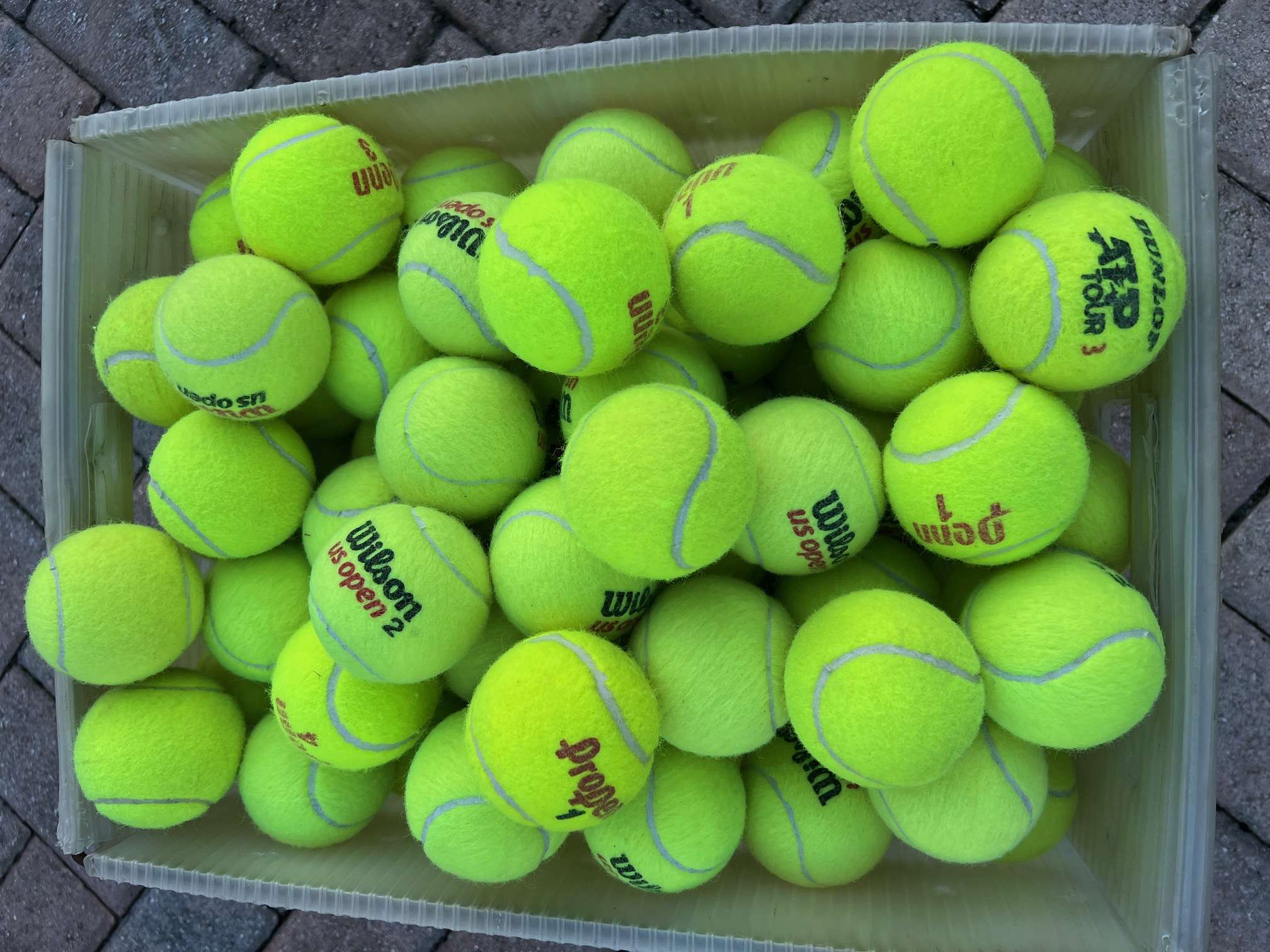 Bulk tennis balls for dogs shown together in quantity