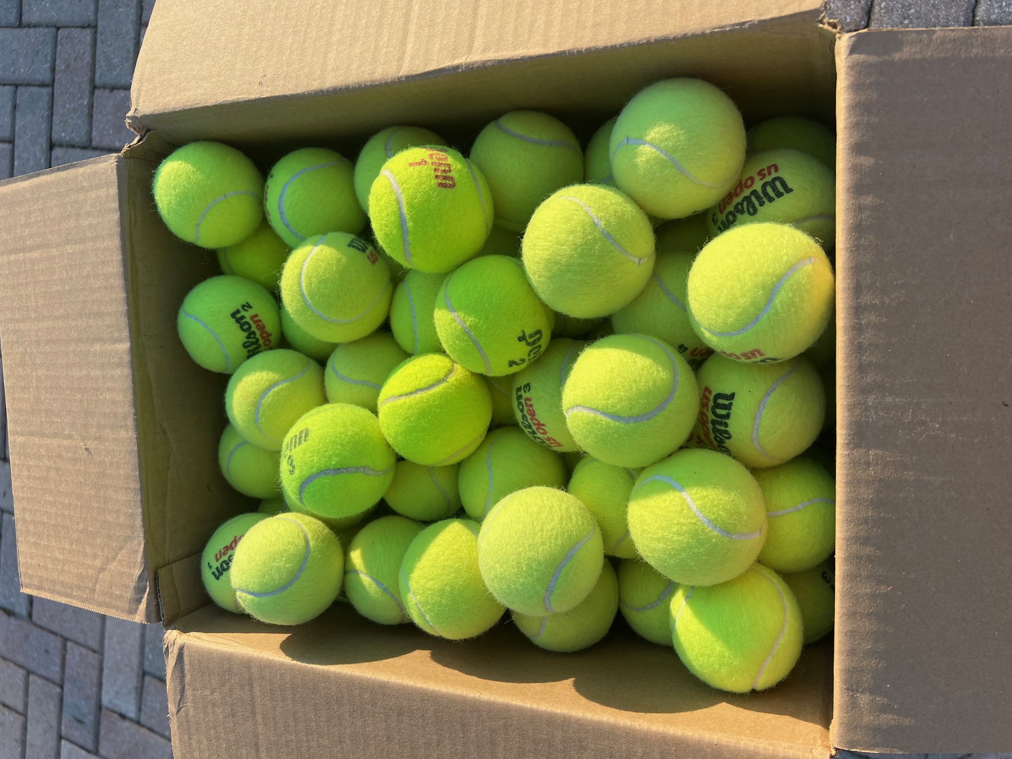 Open box of tennis balls for dogs showing practical boxed quantity